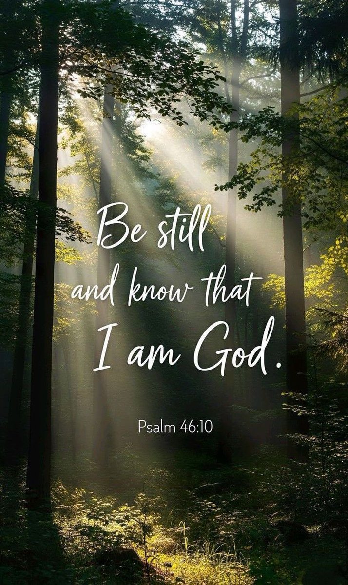 ✞ Andrea tweet media