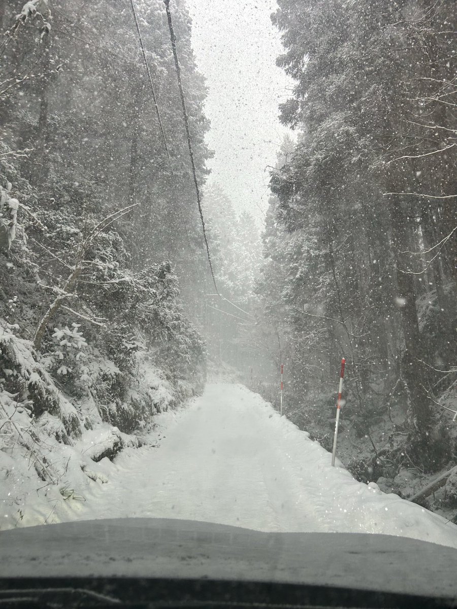 本日２月８日  大雪のため終日「臨時閉門」致します。ご了承ください。