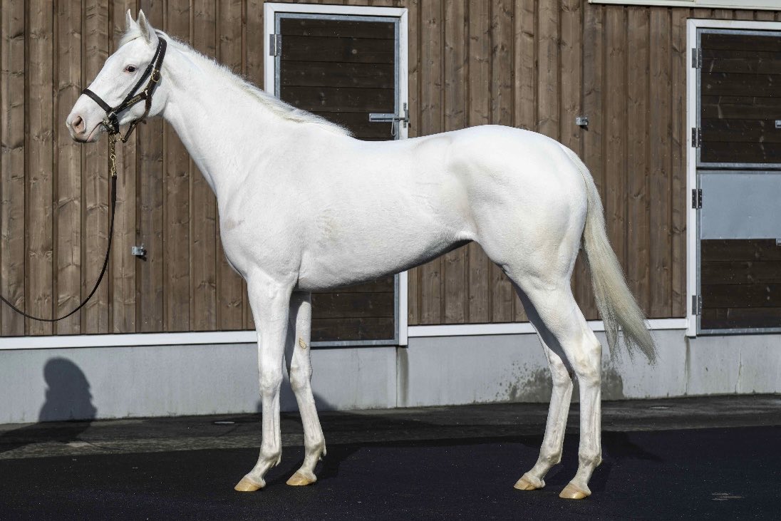 ピーちゃん (@ptan16pico28) / Posts / X