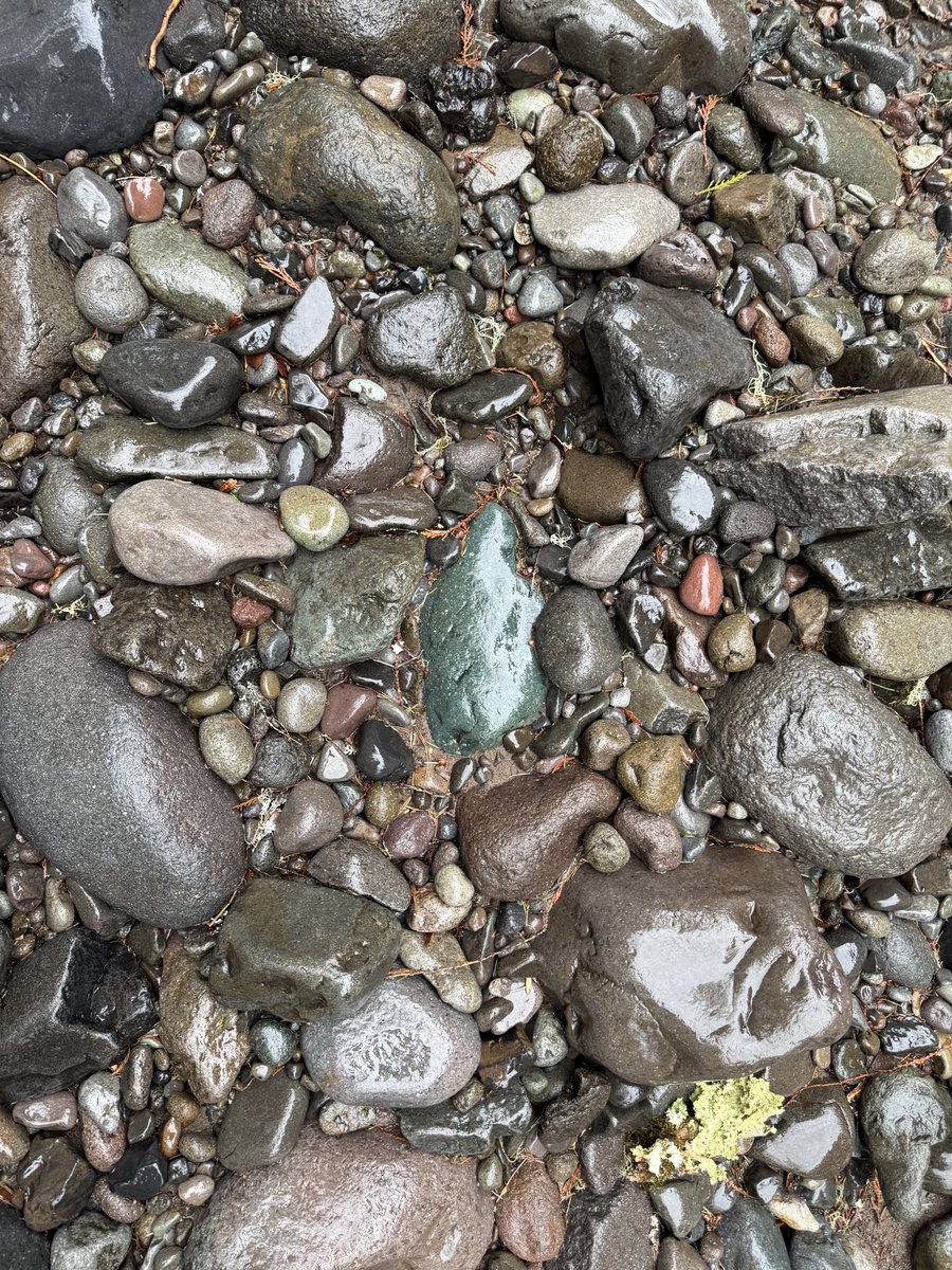 Near the Salmon River