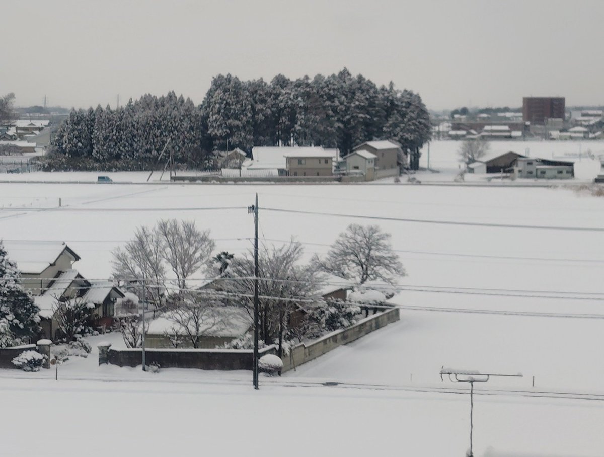 なかなかの雪景色っぷり。 明日の朝の歩道がめんどくさそう。