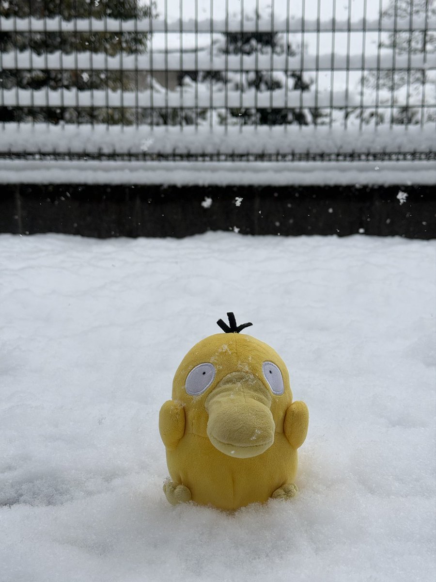 ZelACNH's tweet photo. Psyduck on ice https://t.co/JHuAeyw8x0