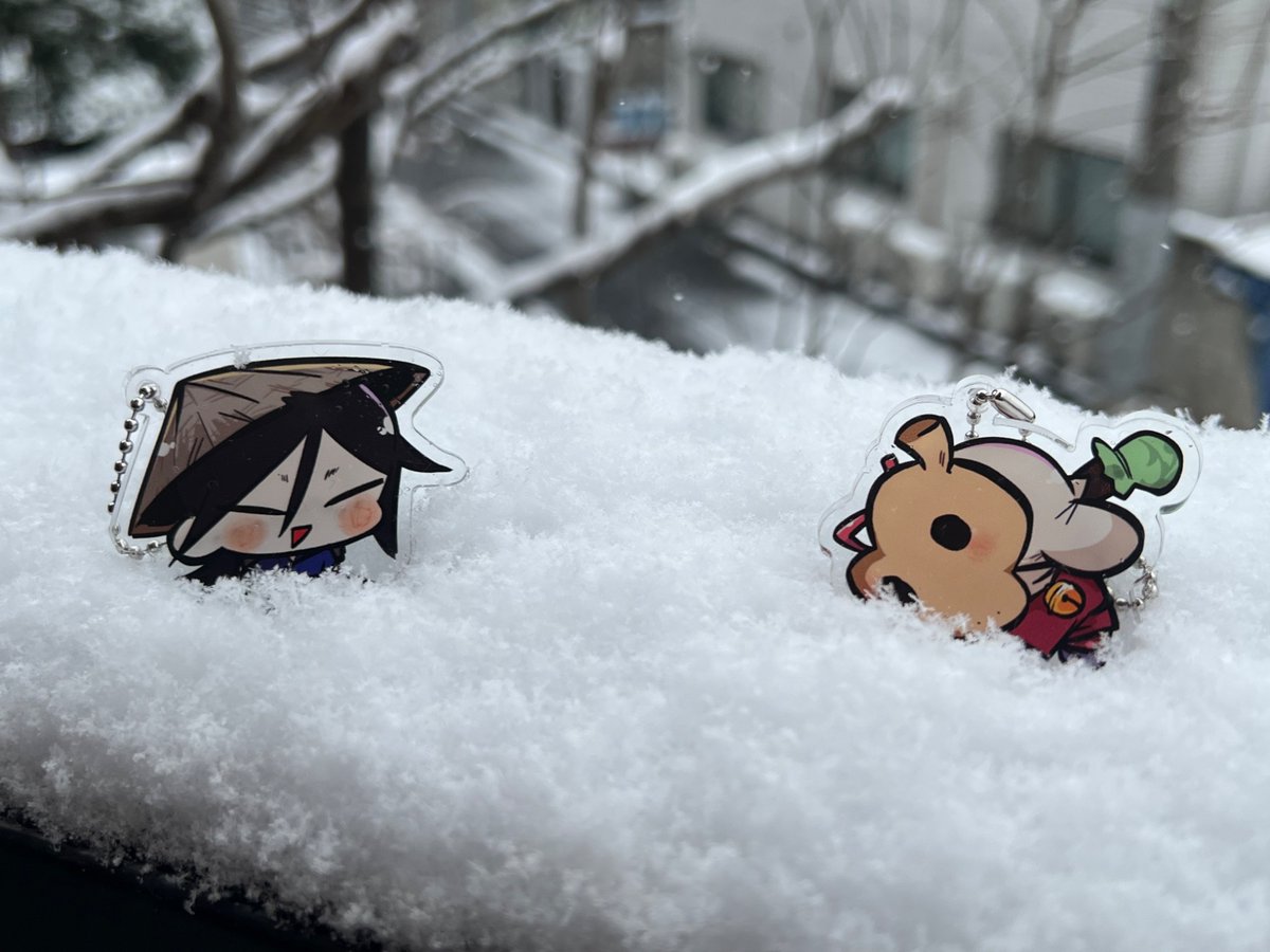 雪遊び🐟&amp;🐶！！