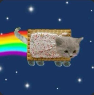 ᥲᥒgᥱᥣ 💭🌸 іrᥣ ᥕіᥣᥣ᥆ᥕ ᑲᥡᥱrs tweet media