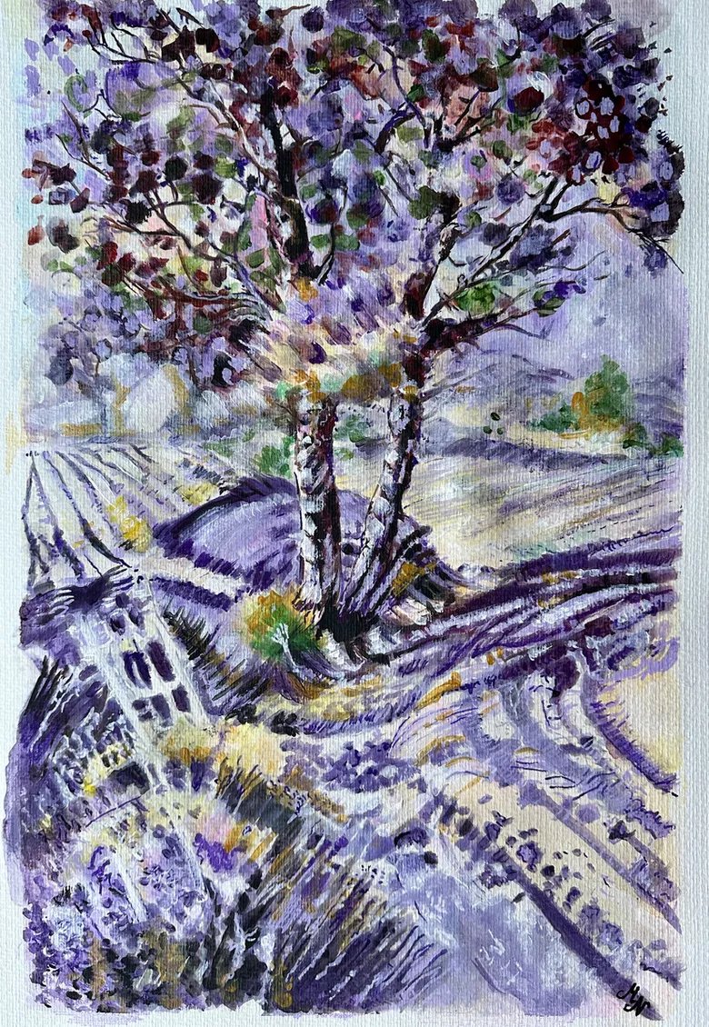 Misty Lady tweet media