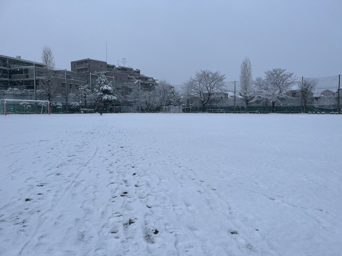 投票した。
マジでなんでこんな日によお…