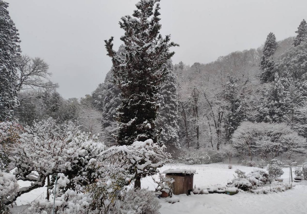 実家から今朝の状況が送られてきたんだけど、昨日帰ってきて正解だった。10センチ以上積もってるらしい☃