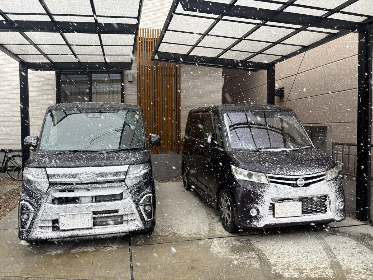 みいたそ@D-RATT'S (@miitaso_s13) / Posts / X