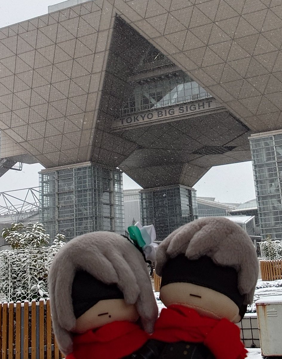 Post by ykkmama@2/8南4も18b🍫 on X: キタキタヨー✨️