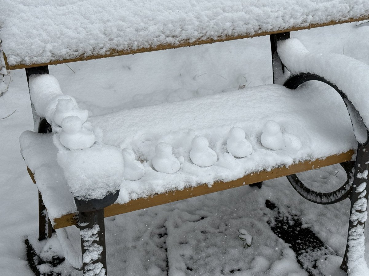 アヒル製造器持って公園へ😄