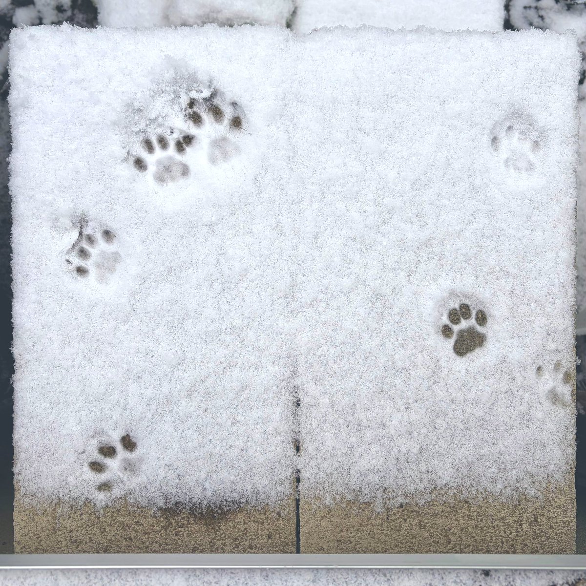 ええもん見せてもろて