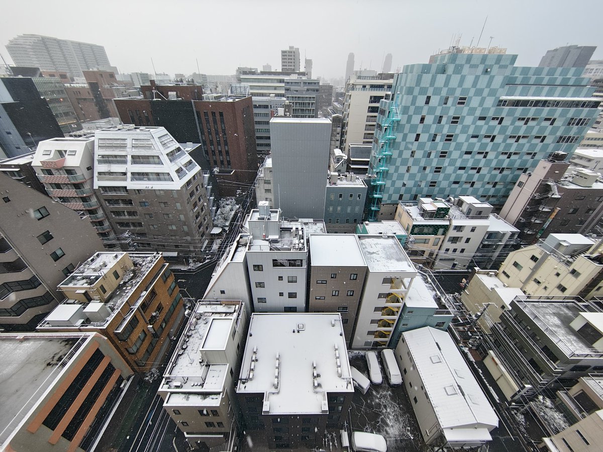 toru_vwx's tweet photo. 東京でも雪が積もってます https://t.co/Ai2FUxQu0x