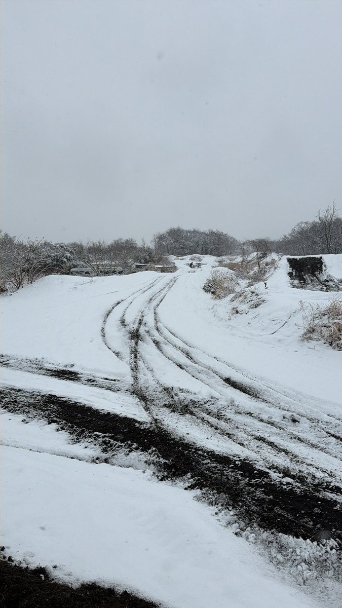 hayasehonda's tweet image. 20250208
モトクロスビレッジに来ました！
コンディションはベスコンの降雪です😊