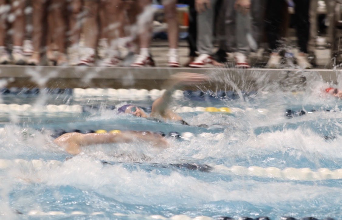 Gatlinburg-Pittman Swimming tweet media