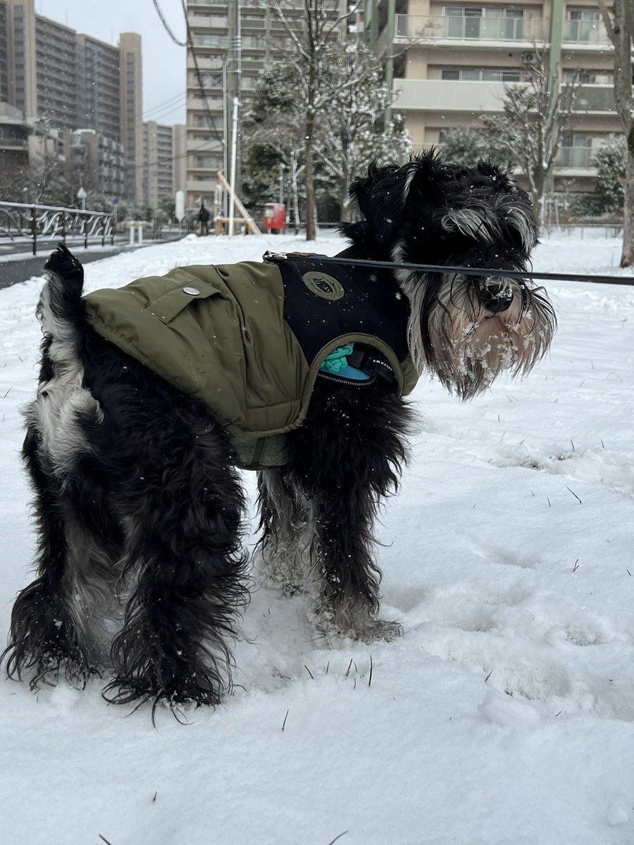 hiro_hiro_1052's tweet photo. すんごい雪だね☃️ https://t.co/xv3ZeKYZBO