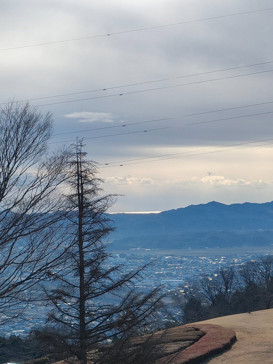 宮城県柴田町観光物産協会 tweet media
