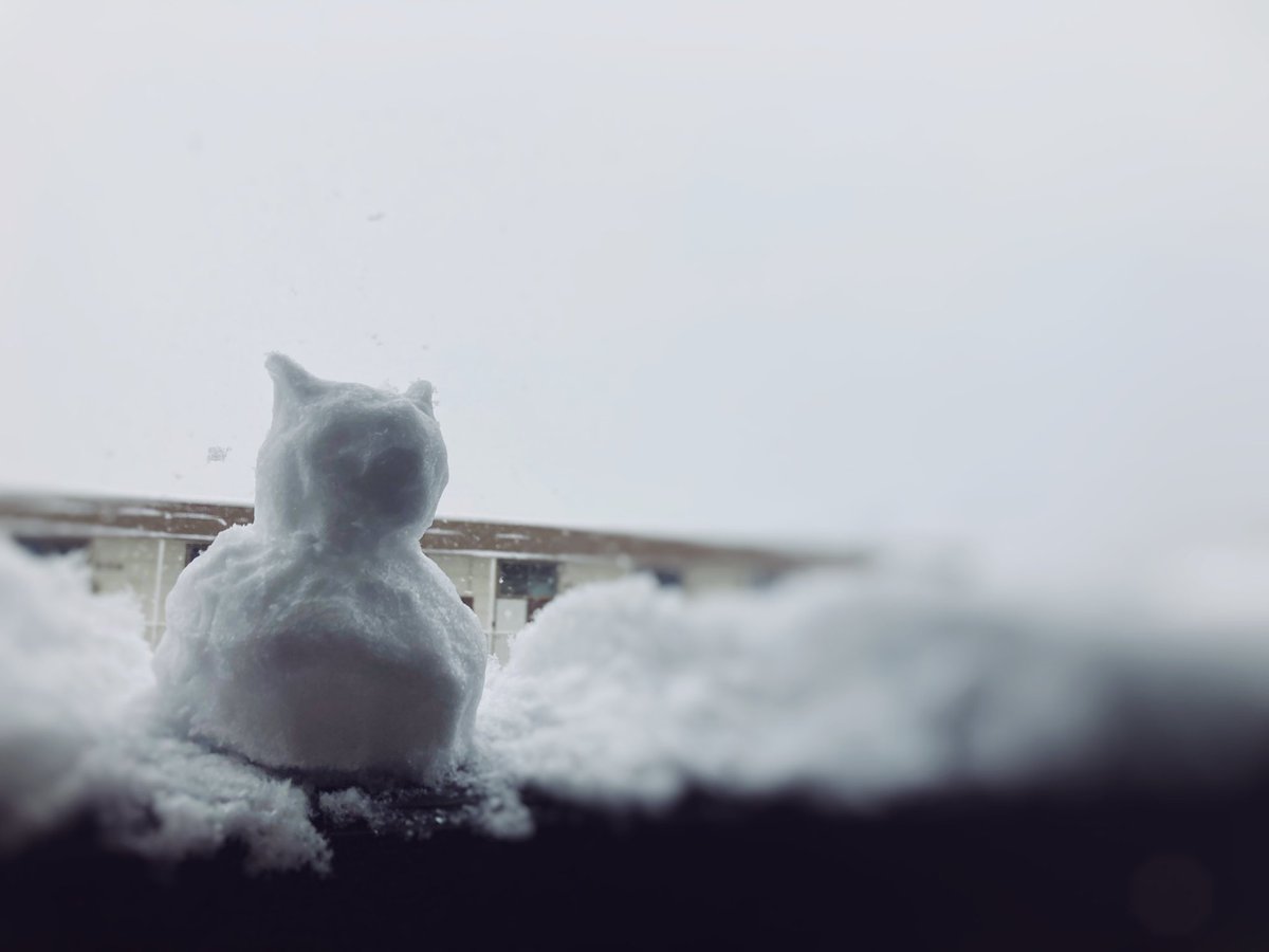 降ってますね〜❄️
これから選挙に行かれる方、お仕事に出ている方、気を付けてくださいね。車でのお出かけはスタッドレスorチェーンマストです🛞