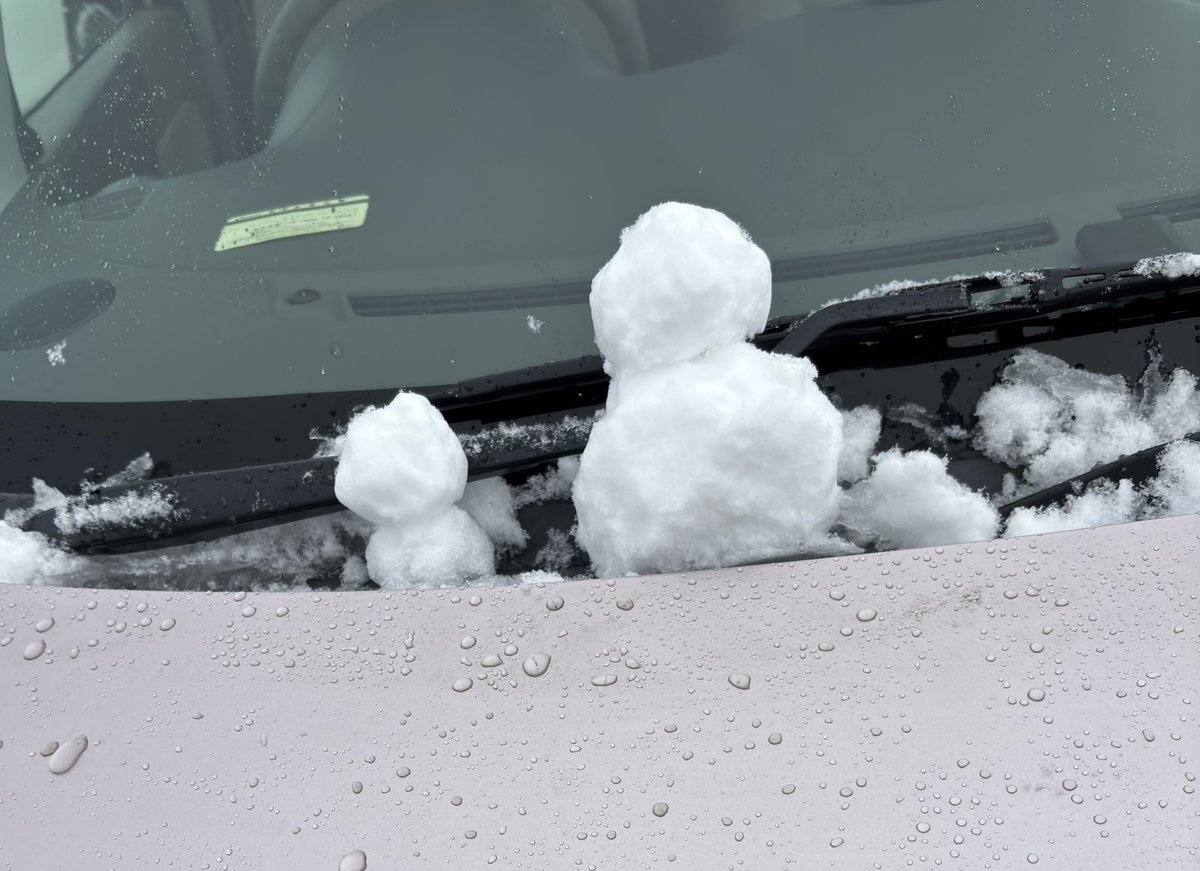 家の雪が凄すぎて
雪だるま乗せたwww
電車遅延してるらしい
常磐線の方気をつけてね〜
 #きらこす