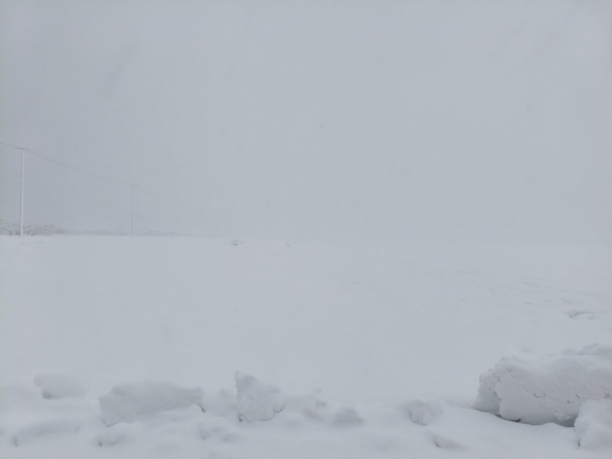 arisufeer's tweet photo. 車雪のりすぎだし視界はホワイトアウトするしワロタ https://t.co/oZFMth1dvS
