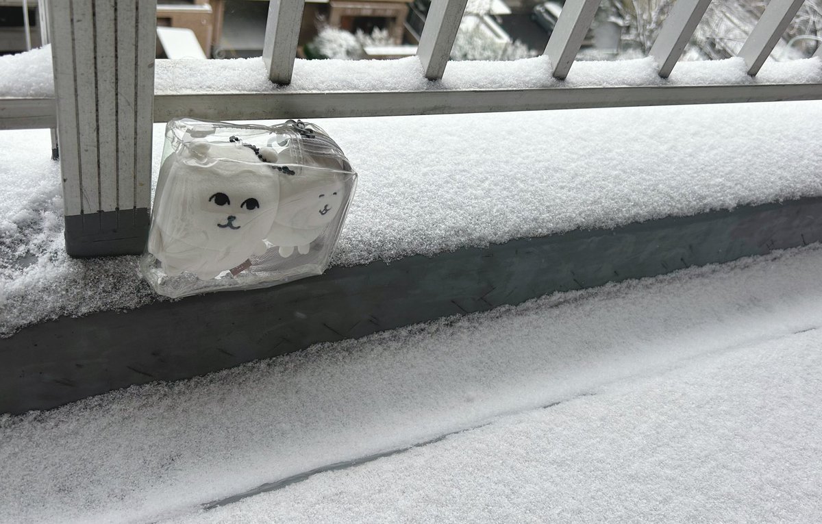 …まま、すごいあそんでますね

ゆきだぁ〜あはは

むすこくんもこうふんです

さむ〜い〜あはは