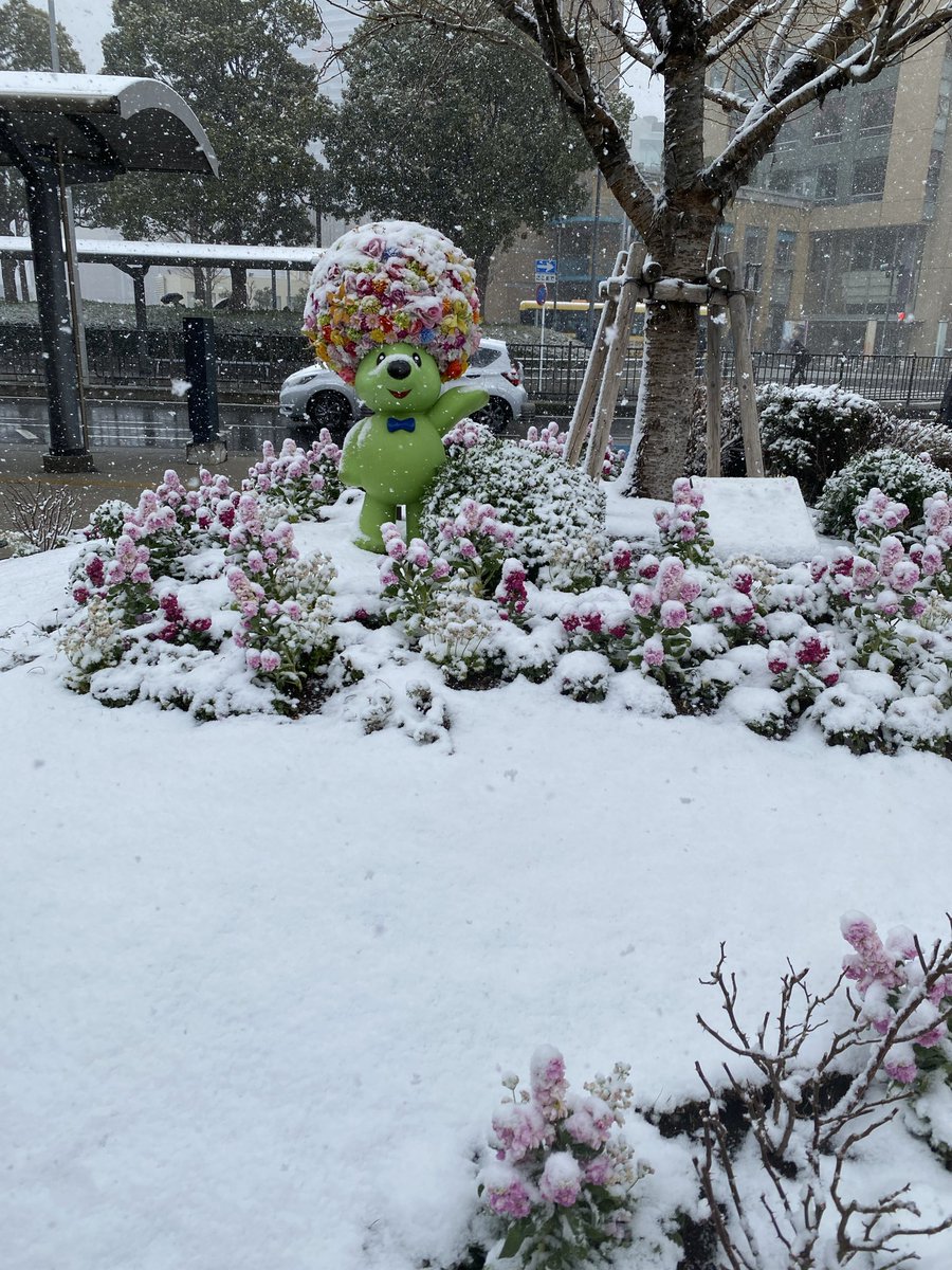 mikibestyjunon's tweet photo. 舞台挨拶のため､桜木町に来たけど
思った以上の雪☃️（笑）
こんな桜木町は珍しい‼️楽しみ過ぎて😊
スタバでほっこり待ちまする〜
@BEFIRSTthemovie https://t.co/bXwVvrCdGt