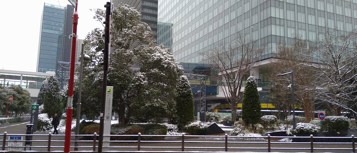 ashidavox's tweet photo. 東京の雪…🌨️❄️
外真っ白…☃️

It's snowing in Tokyo today...🌨️❄️☃️ https://t.co/38f4YUduI9