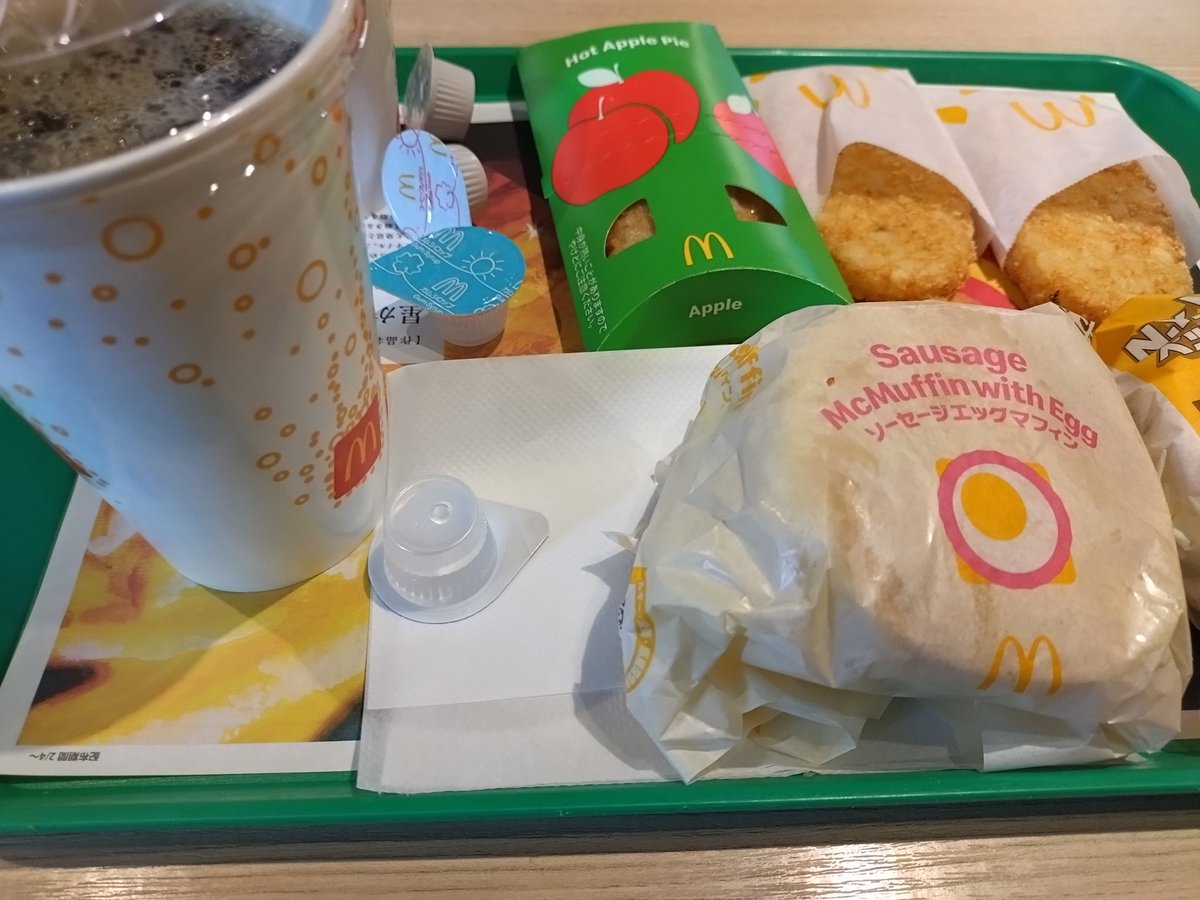 おはようございます、吹雪の中選挙に行きその帰りに朝マクド行く
良いムーブ