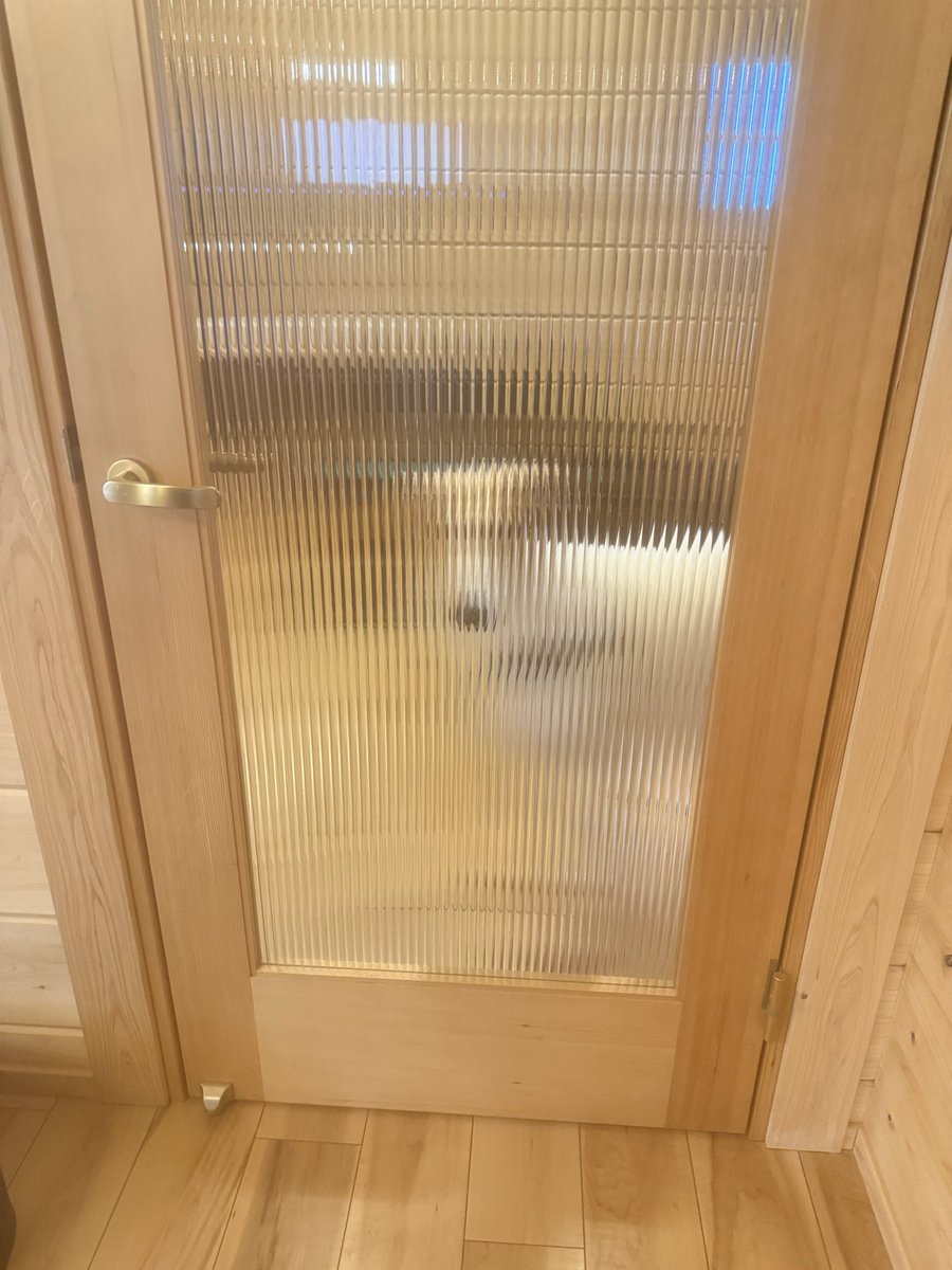 #borzoi #longdog #dog #ボルゾイ #大型犬