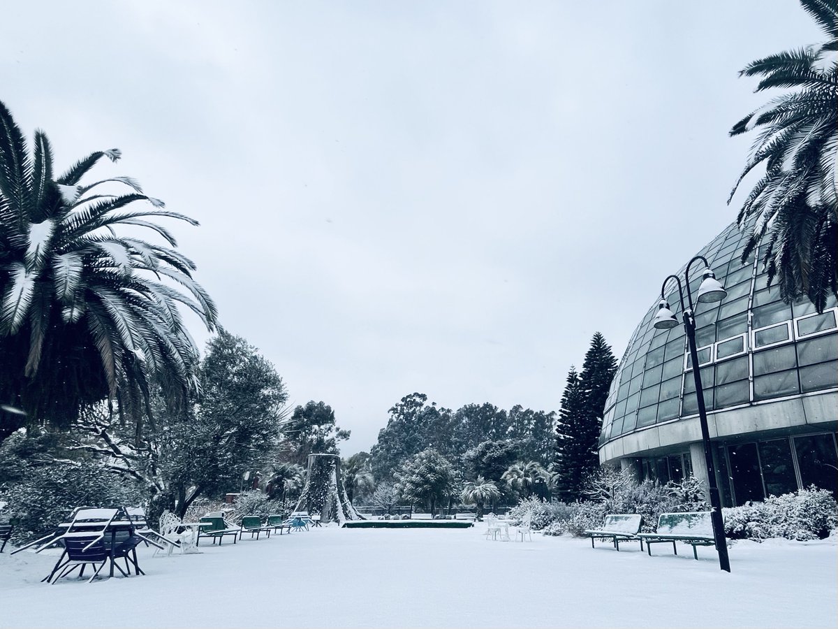 本日は通常開館いたします。
お足元に気をつけてお越しください⛄️