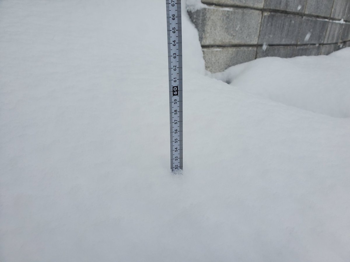 10cmで大雪だねえ