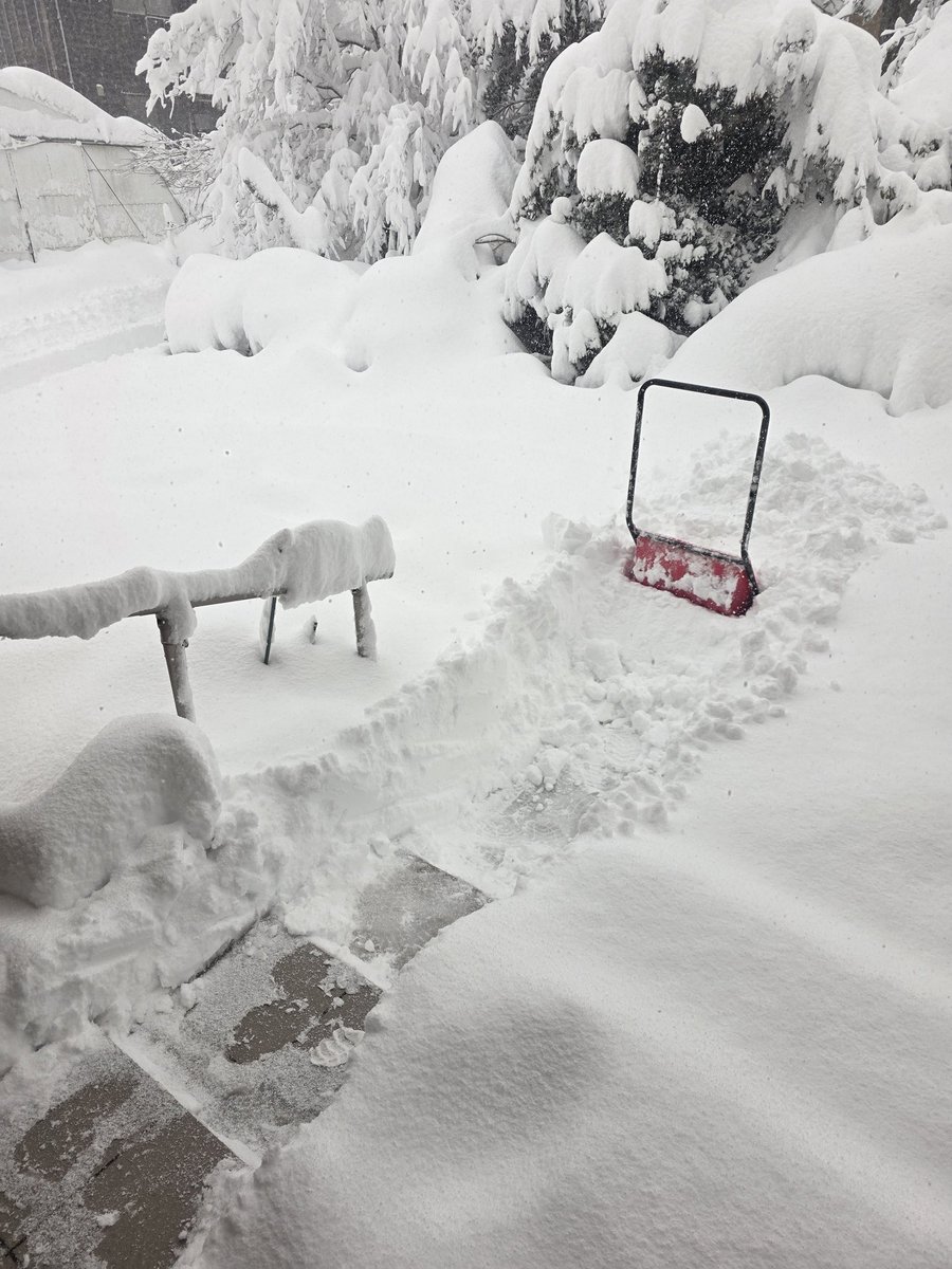 雪やばぁ🥲