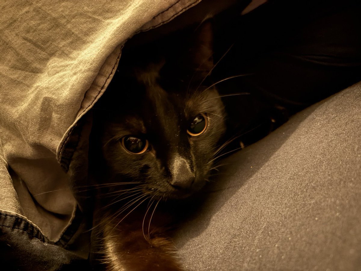 Imagine tu te réveilles et y’a LUI sous ta couette