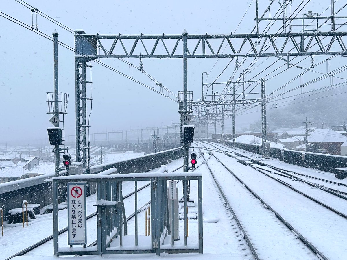 スズキヨウスケ (@starstarstarltd) on Twitter photo 