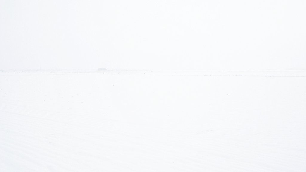 また吹雪いてきて真っ白❄