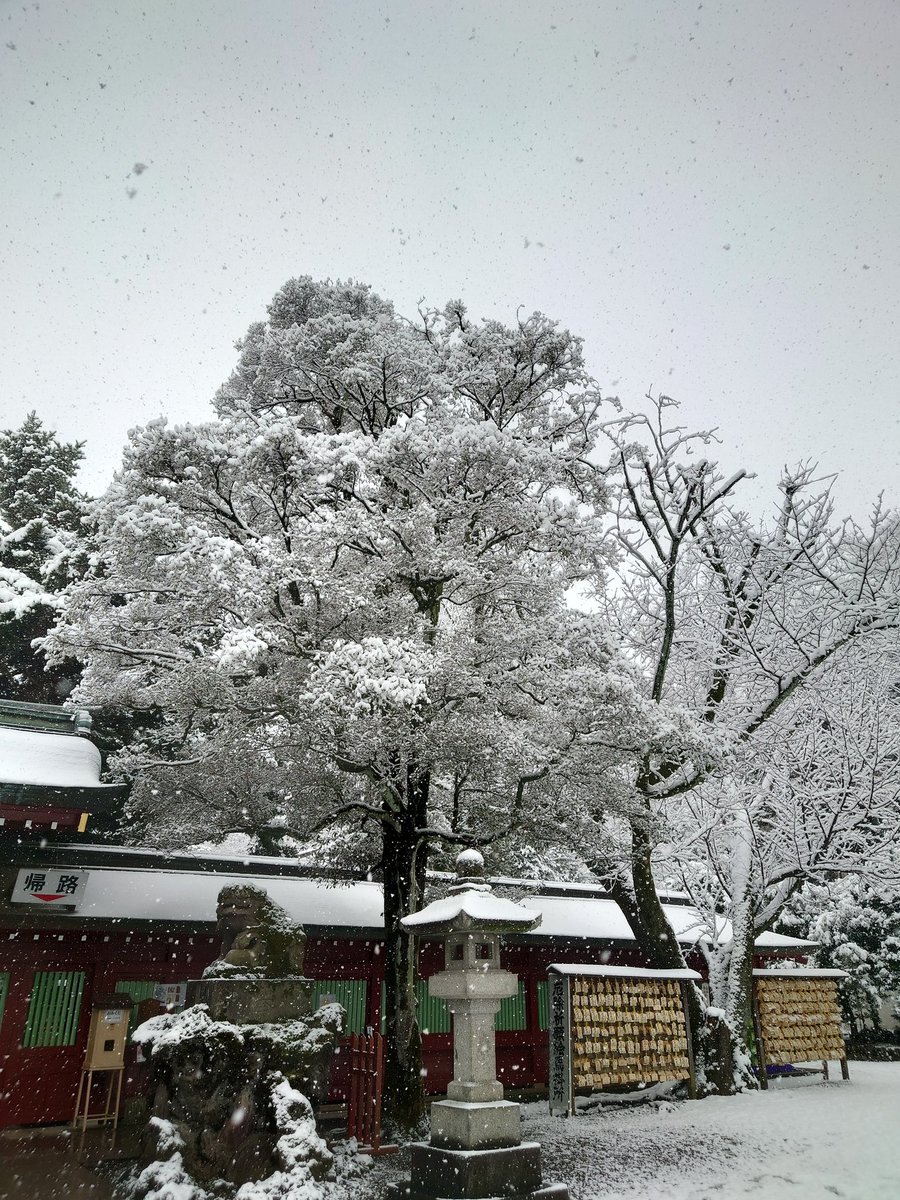 TKoutetsu's tweet photo. 府中市、大雪警報。 https://t.co/uquZT6bz1r