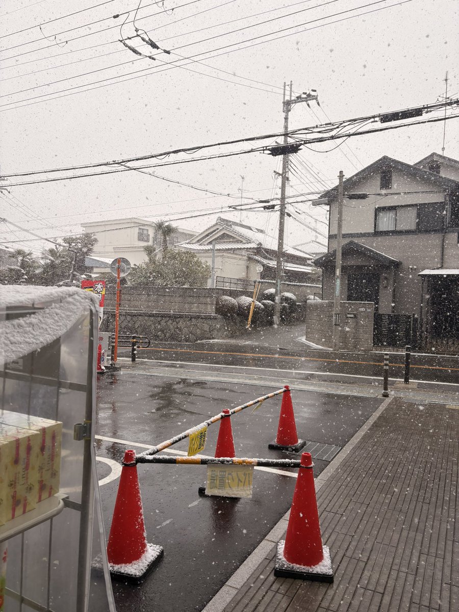 豊中市は大雪だ⛄️⛄️😲