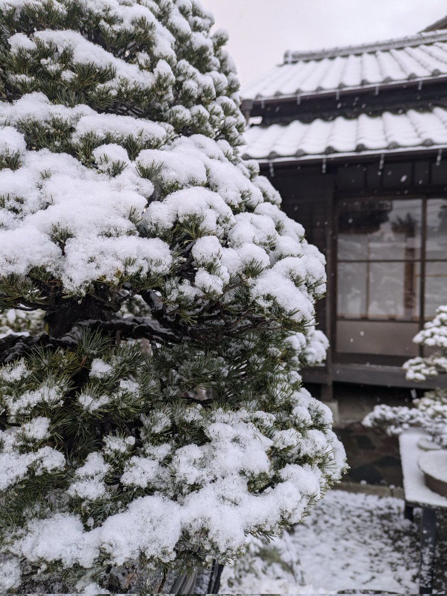 瑞祥に雪が積もりました。