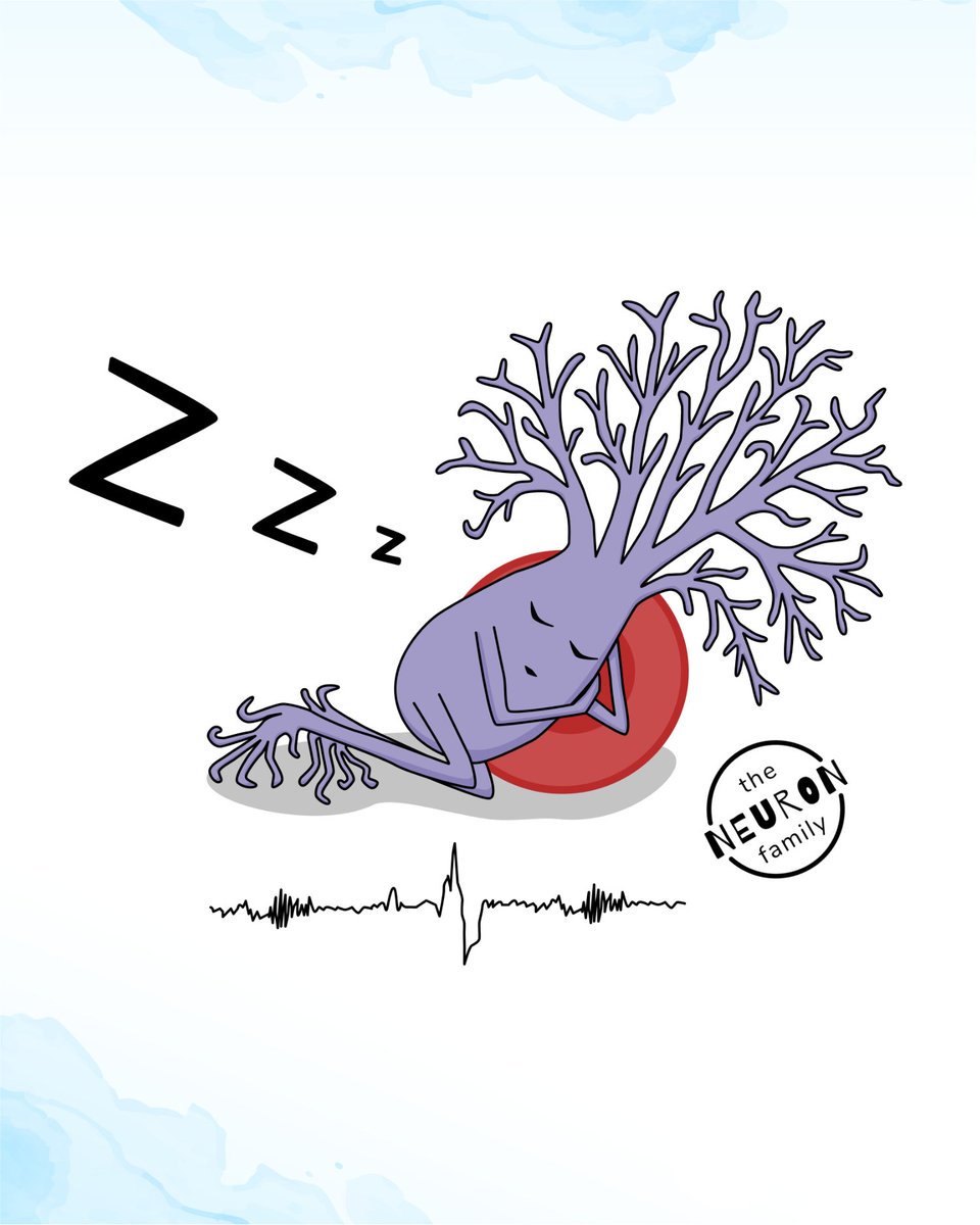 The Neuron Family tweet media