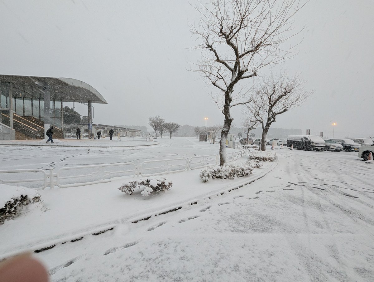 搬入が雪でどうなるかと心配でしたが、なんとか無事に設営まで終わりましたー😂
ブースNoは【2-19-05】です!!
いつもの動く『のらねこ』看板が目印です👀
（※HALL2の中央付近）

#WF2026冬 #WF2026W  #ワンフェス