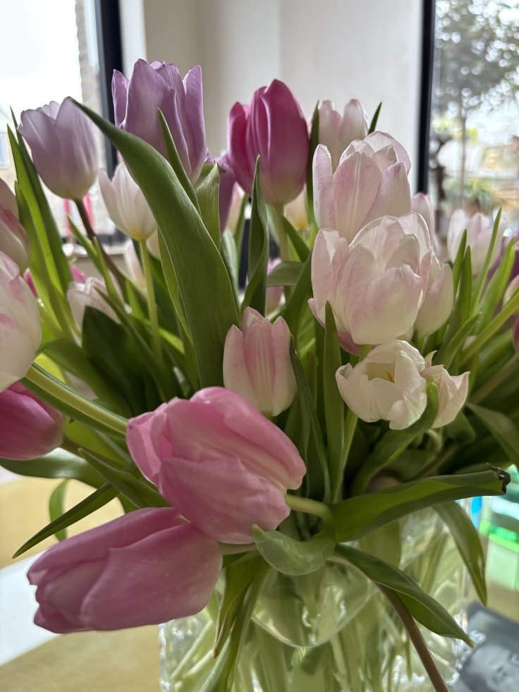 Ellen Flow tweet media