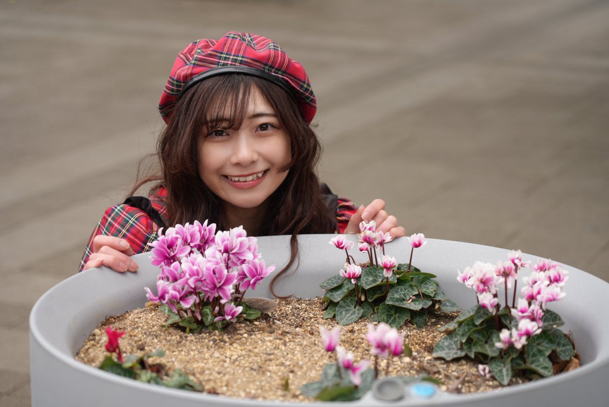 みきちゃん🪄🦉 (@cheerz_mikichan) / Posts / X