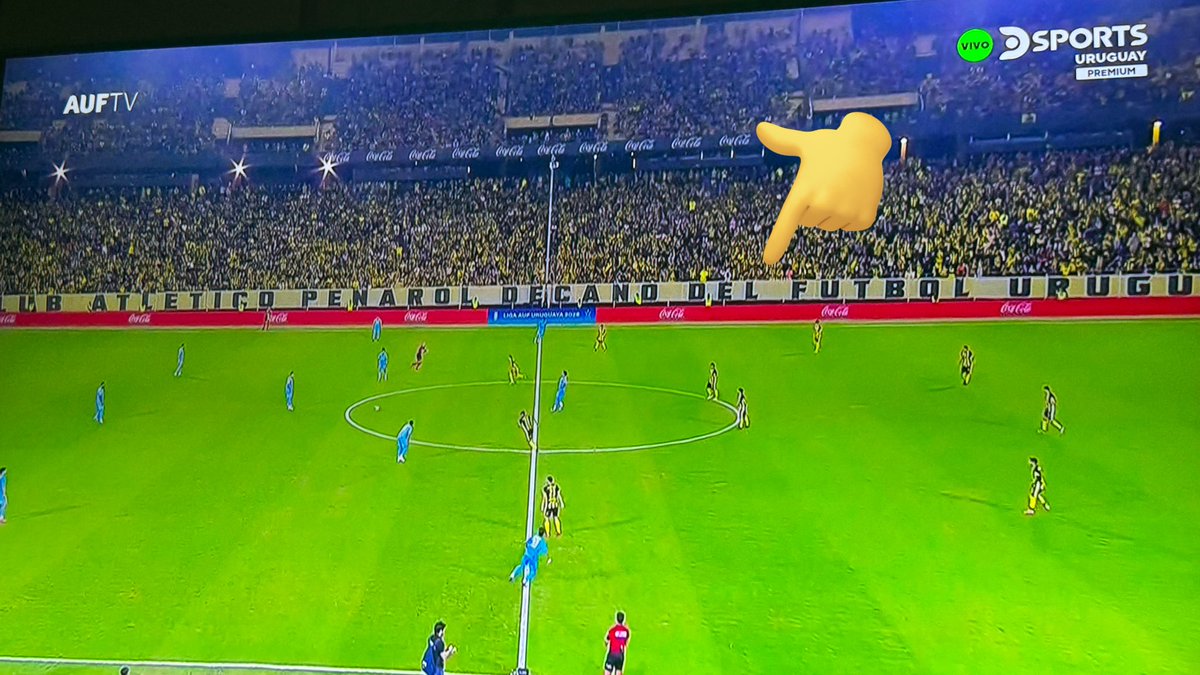 No entra dentro de lo prohibido eso?