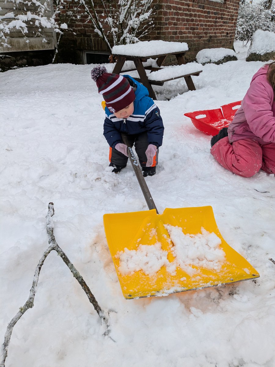 Meredith McLendon tweet media