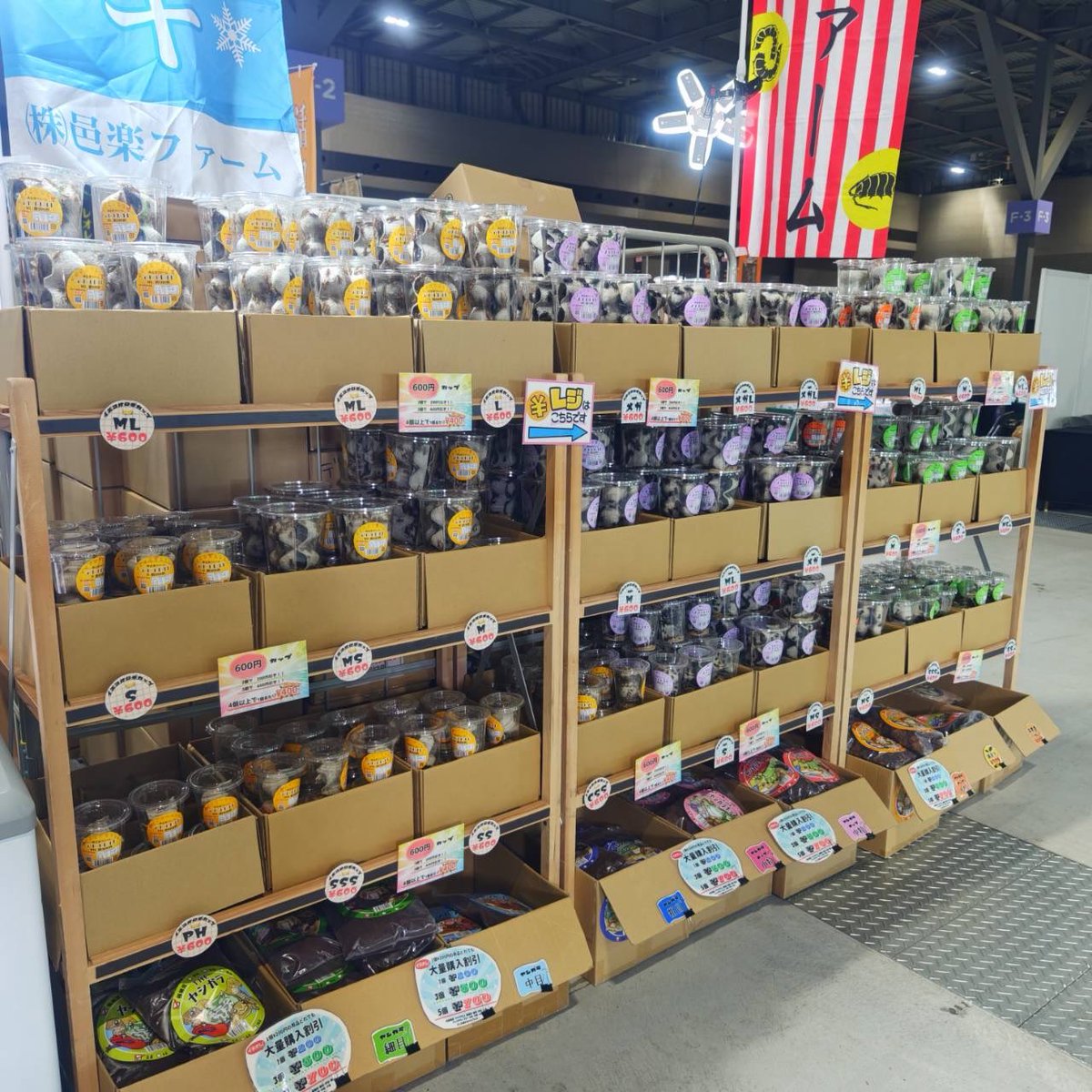 JRS愛知2日目
活コオロギの黄色🟨旗が目印

邑楽ファームではいつも完売しないように商品をできる限りご用意しています👍

カップ餌、どのサイズ種類も大量に用意してますので複数お求めください💨
#ジャパンレプタイルズショー