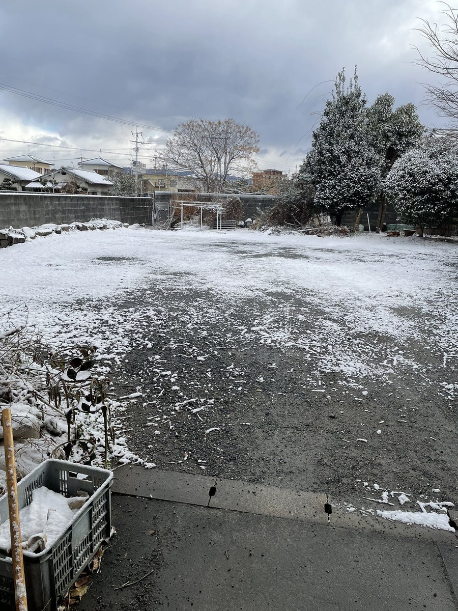 積もってるぜ
寒いぜ！