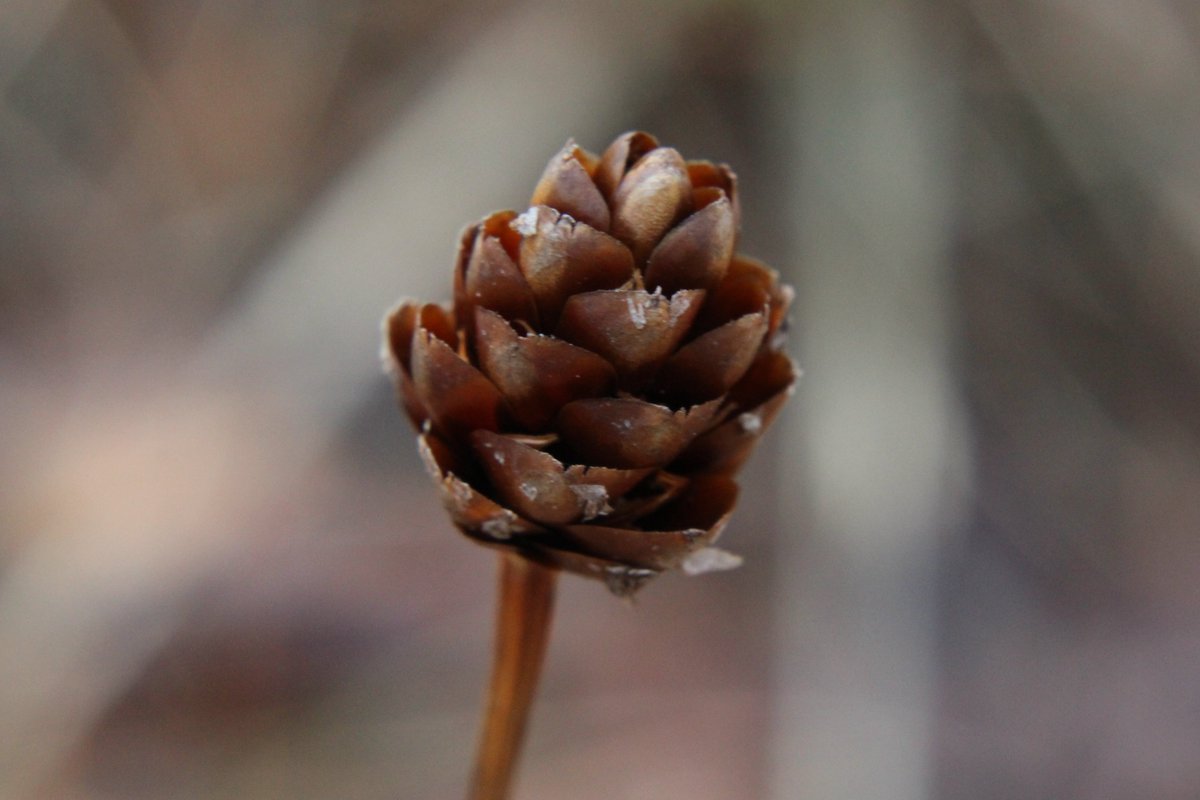 yasmini ⋆ ᶻ 𝗓 𐰁 tweet media