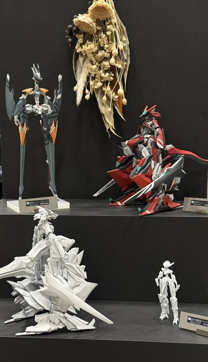 設営完了！2-19-15メゾンプニカにてお待ちしております
#WF2026W