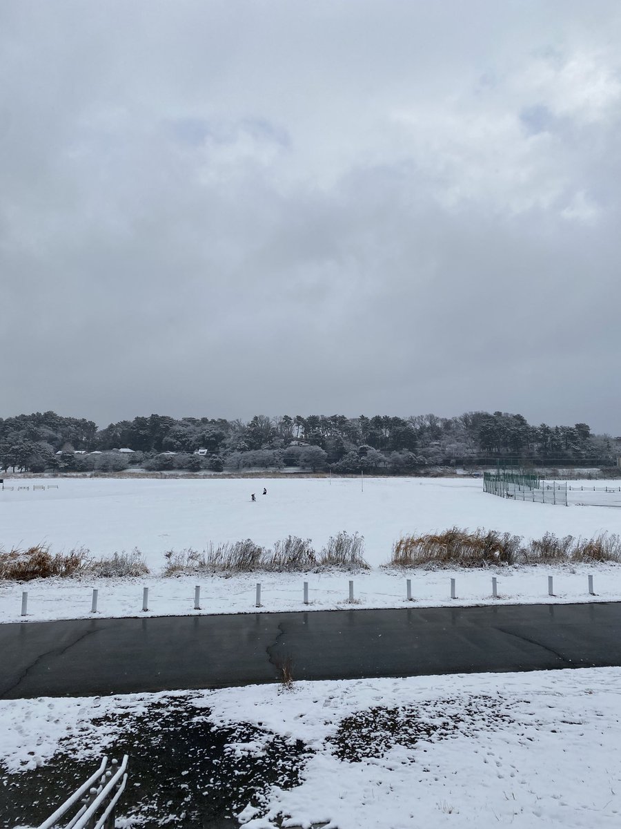 大和田亮 tweet media