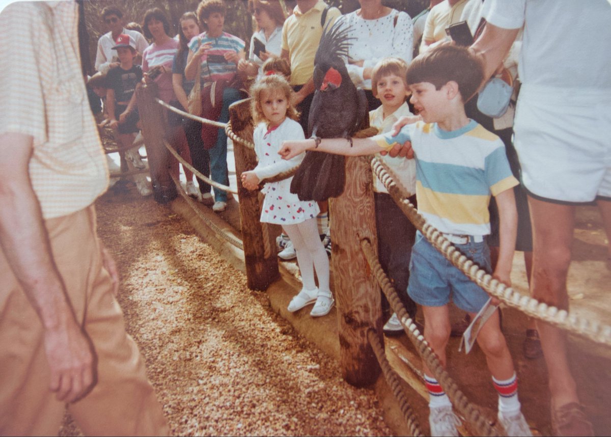 WDW Tales Podcast tweet media