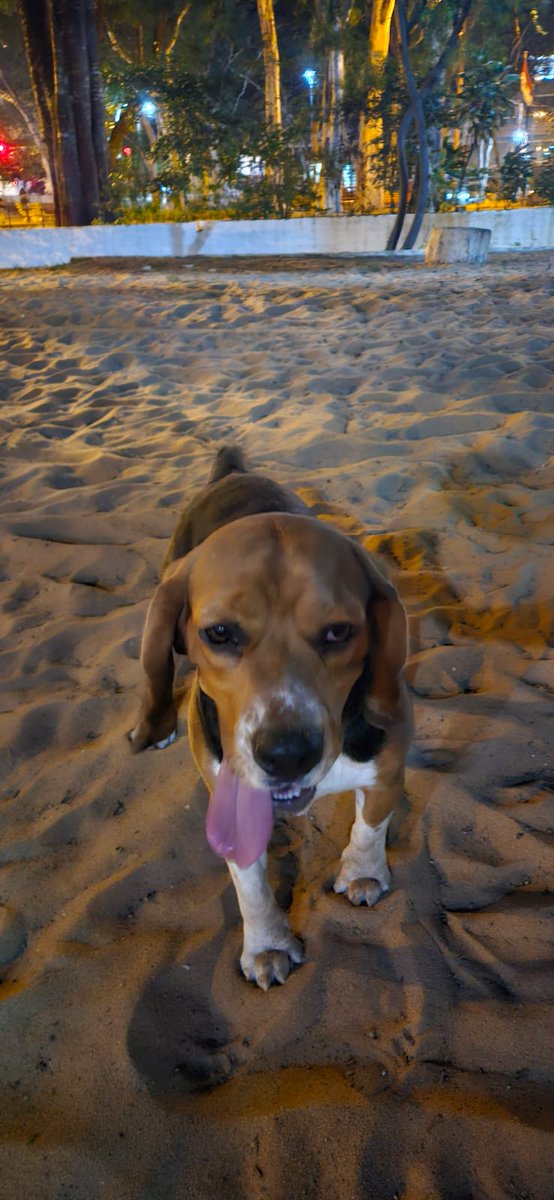 Javier Mendoza tweet media